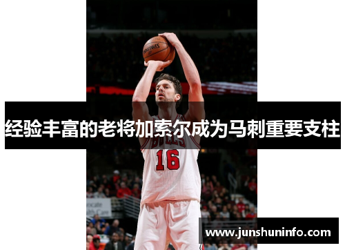 经验丰富的老将加索尔成为马刺重要支柱
